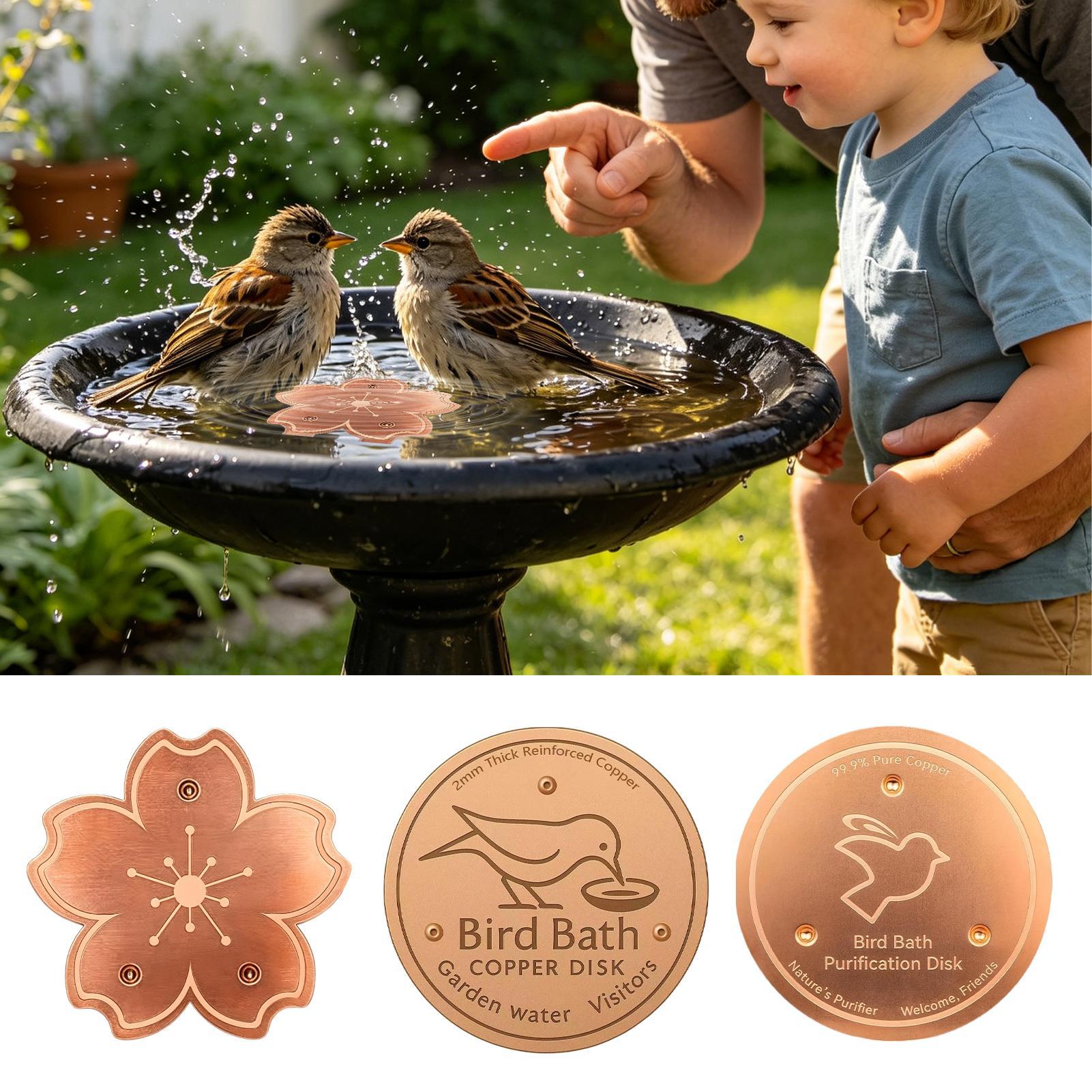 Copper For Bird Bath Safe Puri - đánh giá và giá Watches Original